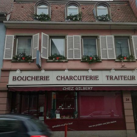 "Cote Nature", Appartement Cosy Au Coeur De Munster Munster  Exterior photo