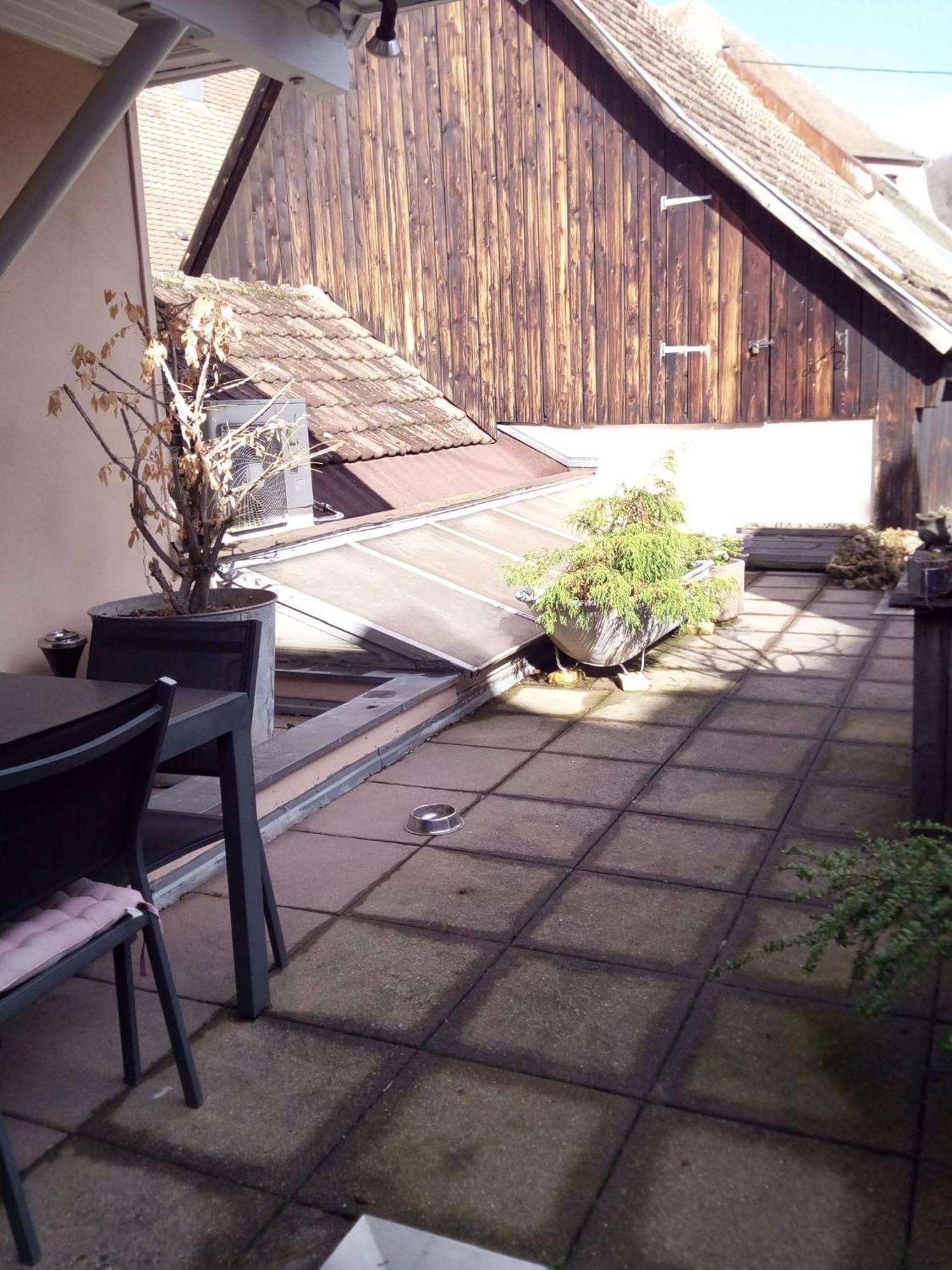 "Cote Nature", Appartement Cosy Au Coeur De Munster Munster  Exterior photo
